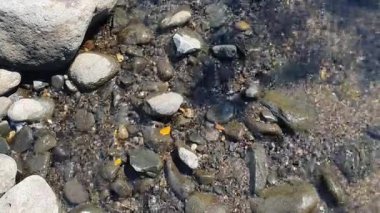 Deniz taşları ve su