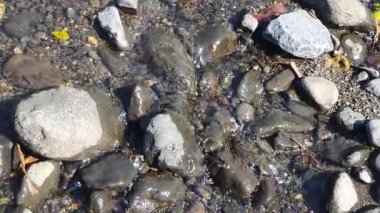 Kuzey İsrail 'de Akdeniz kıyılarında taşlar ve taşlar var.