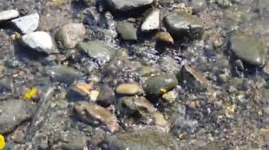 Nehir kıyısındaki taşlar