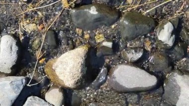 Deniz kıyısının güzel manzarası