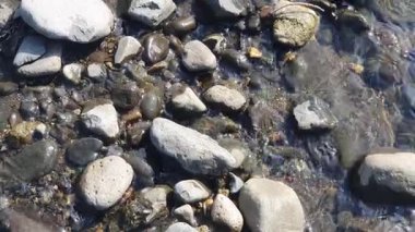 Taşlar ve taşlar suda