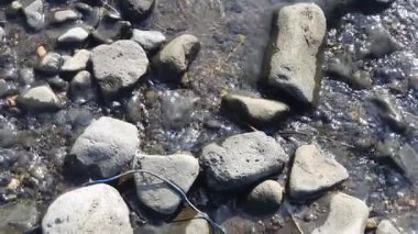 Nehir kıyısındaki taşlar