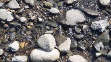 Deniz kıyısında taş