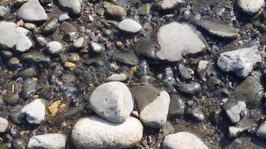 Nehir taşları suda