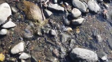 Nehrin sularındaki taşlar.