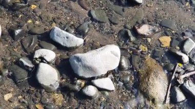 Sahilde taşlı deniz suyu