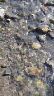 Nehirdeki taşlar ve su, doğa.