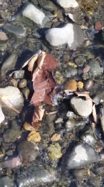 Dağlardaki nehrin güzel manzarası