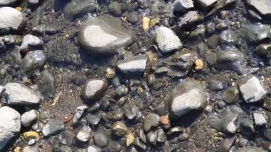 deniz suyu ve taşlar