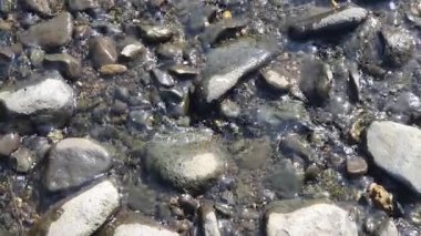 Yazın göl kıyısında taşlar.