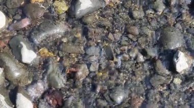 Su akar ve taş akar. 