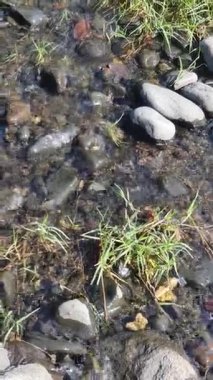 Güzel dağ nehri, doğal arka plan