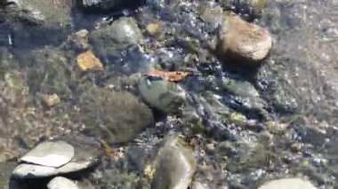 Nehirdeki taşlar ve kayalar