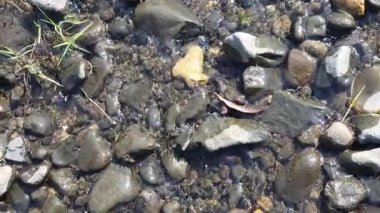 Endonezya 'da taşlar 