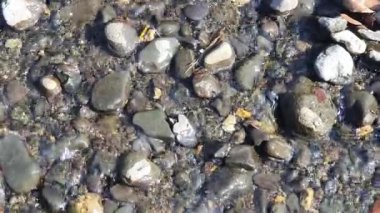 Endonezya 'da su dalgaları 