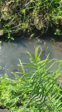 Doğanın güzel manzarası