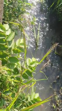 Doğanın güzel manzarası