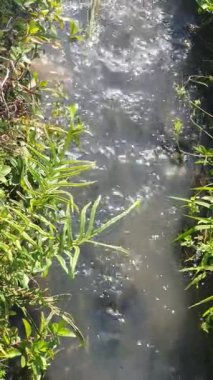 Doğal manzaranın güzel manzarası