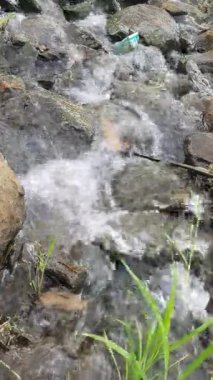 Ormandaki güzel dağ nehri