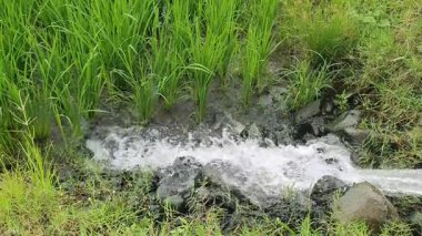 Bir su akıntısının yakın çekim görüntüsü