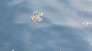 Sudaki gölün güzel bir görüntüsü.