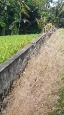 Dağlı güzel bir manzara.