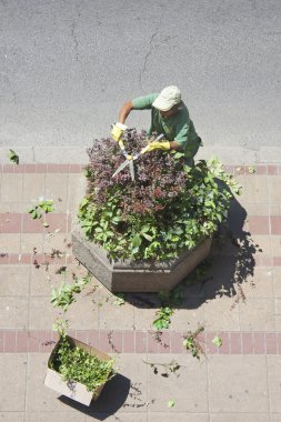 Şehir yeşillik işçisi
