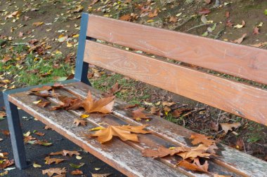 Sonbaharda parkta bir bankta ölü yapraklar.