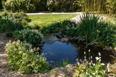 Baharda bir parkta nehir