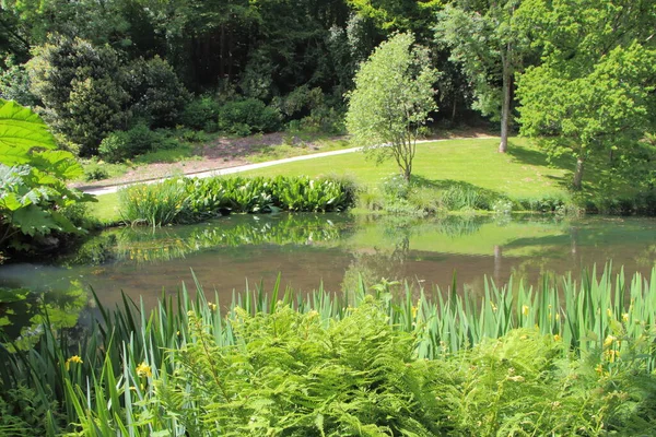 Pond Path Park Brittany Spring — Stock Photo, Image