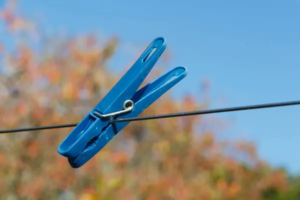 庭の洗濯ライン上の青い服ピン — ストック写真