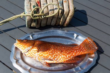 Brittany 'de balık tuttuktan sonra kalay tabakta ballan lapası.