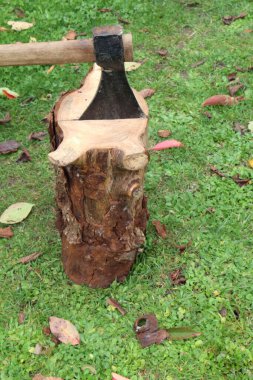 Bahçedeki bir kütükte balta