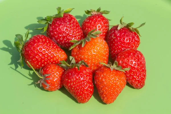 Strawberries Green Background Harvesting Vegetable Garden — Stock Photo, Image