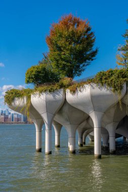 Beton lale şekilli kazıklar üzerine inşa edilmiş eşsiz bir park olan Little Island Hudson Nehri 'nin üzerinde duruyor..
