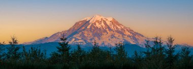 Washington 'daki Rainier Dağı Ulusal Parkı' nda altın saat yağmuru yağar. Dağın karla kaplı zirvesi görkemli bir şekilde renkli gökyüzüne karşı duruyor ve muhteşem bir manzara yaratıyor..