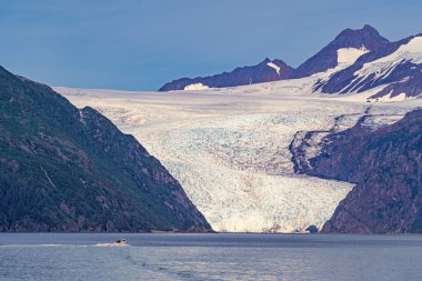 Büyük Holgate Buzulu 'nun önünde, sarp, ağaçlarla kaplı dağlarla çevrili bir tekne su üzerinde ilerliyor..
