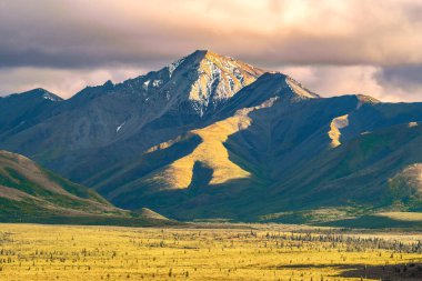 Denali Ulusal Parkı 'nın tepeleri batan güneşle aydınlanır ve tundrada uzun gölgeler bırakır..