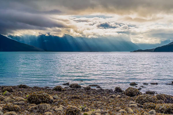 Güneş ışığı Kachemak Körfezi 'ndeki dramatik bulutların arasından suyla kayalık sahili aydınlatıyor..