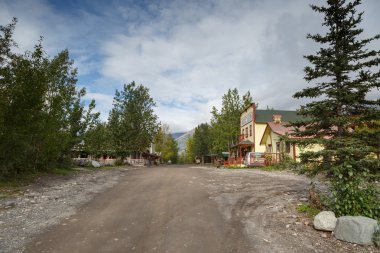 Bina yeşil orman Alaska