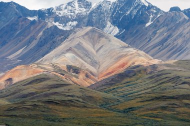 Denali Milli Parkı Alaska