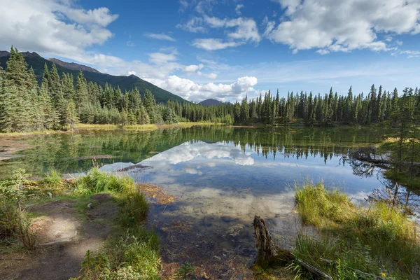 Horseshoe lake at Denali park — Stock Photo, Image