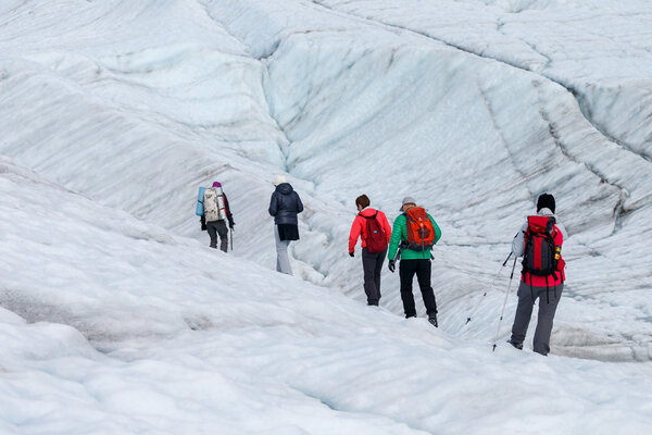 Glacier trekkers walk along