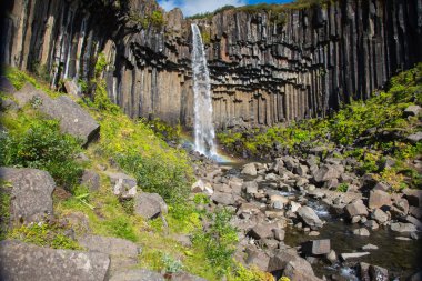 Svartifoss siyah şelale