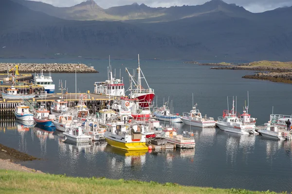 Horu Esja a Reykjavík Stock Fotografie