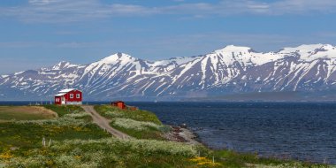 Güneşli bir günde İzlanda manzara 