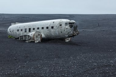 plajda düşen Dc-3 uçak 