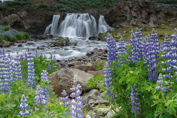 Cascada Fossarrett con altramuz — Foto de Stock