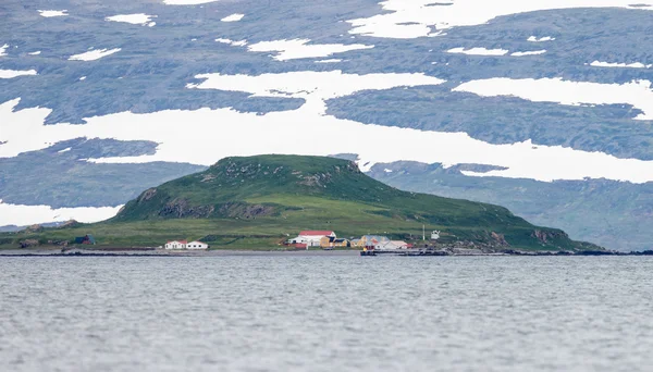 Île de Vigur en Islande — Photo