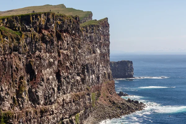 High cliffs at Latrabjarg — Stock Photo, Image